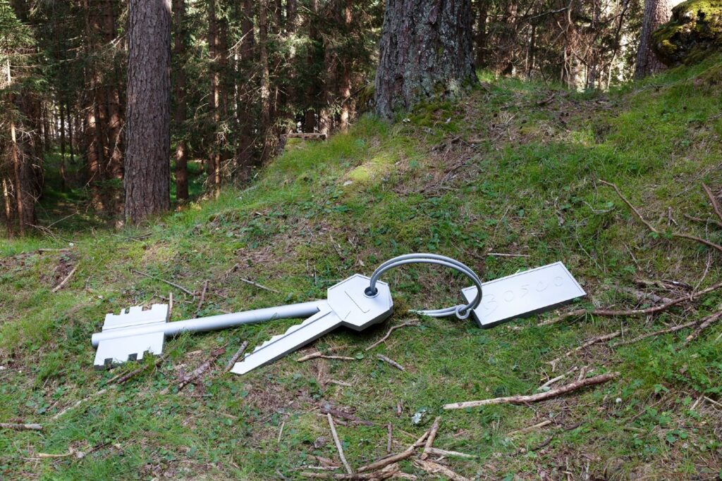 Un grande mazzo di chiavi in acciaio lasciato cadere in un bosco probabilmente da un ignoto gigante.